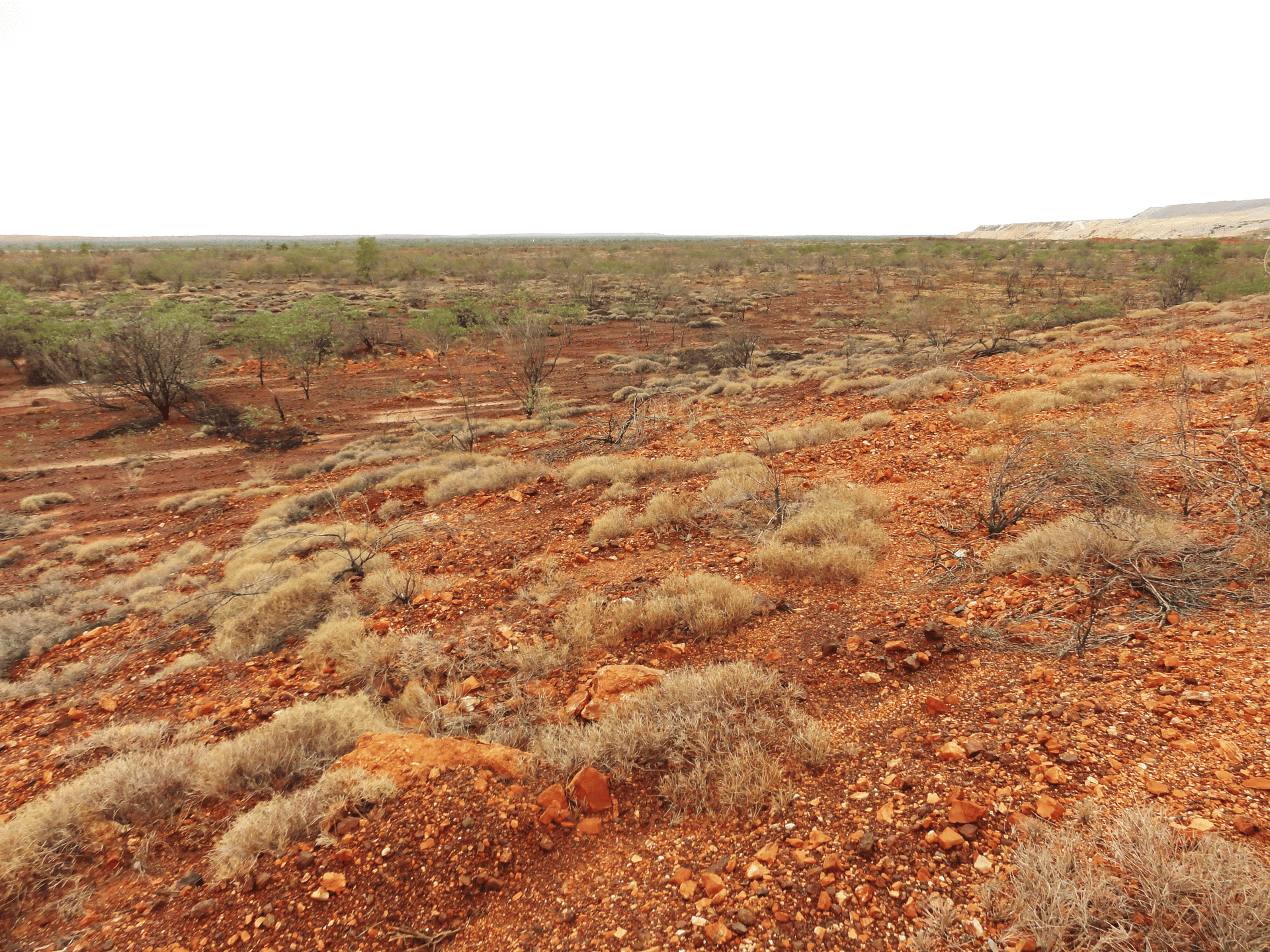 Leveraging AI to Revitalise Mining